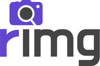 Reverse Image Search Logo
